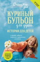 Куриный бульон для души. Истории для детей