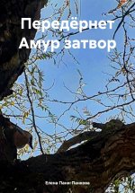 Передёрнет Амур затвор