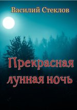 Прекрасная лунная ночь