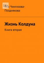 Жизнь колдуна. Книга вторая