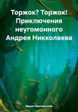 Торжок? Торжок! Приключения неугомонного Андрея Никколаева